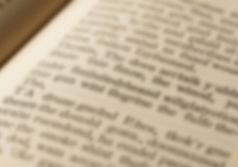 Новые книги мира: лучшие современные издания